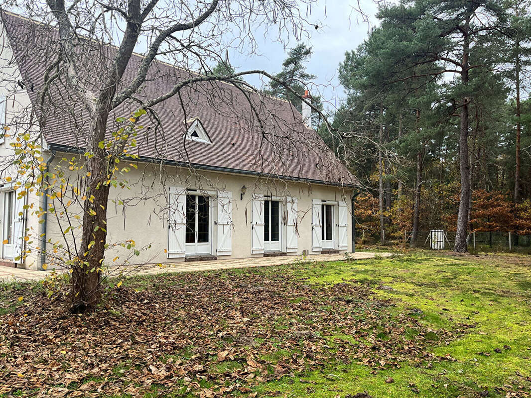 Maison à VIENNE-EN-VAL
