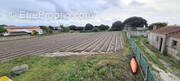 Terrain à NOIRMOUTIER-EN-L'ILE