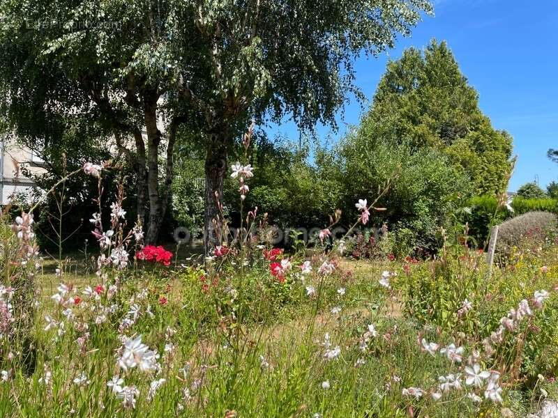 Maison à MAGNAC-LAVAL