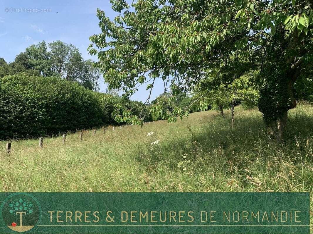 En NORMANDIE, entre LISIEUX et ORBEC, maison de caractère en colombage nichée dans une vallée - photo 4