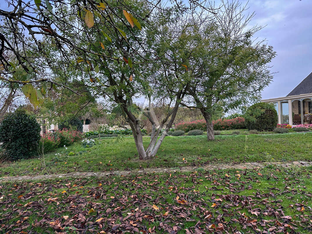 Maison à DOUE-LA-FONTAINE