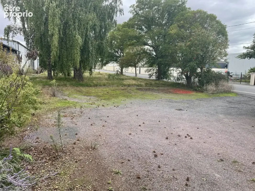 Commerce 460 m² à vendre à Courseulles-Sur-Mer (14470) - photo 5