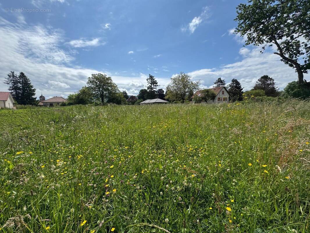 Photo 1 - Terrain à VORAY-SUR-L'OGNON