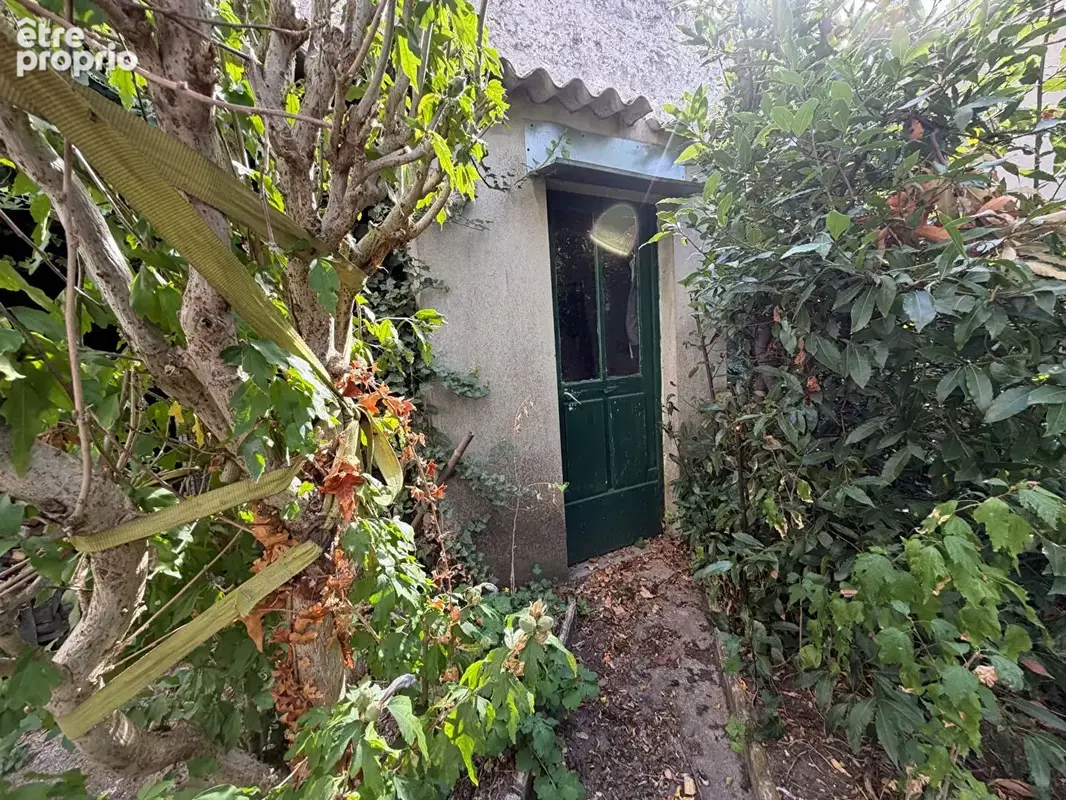 FONTAINEBLEAU Rue St Honoré  avec terrasse végétale - photo 17