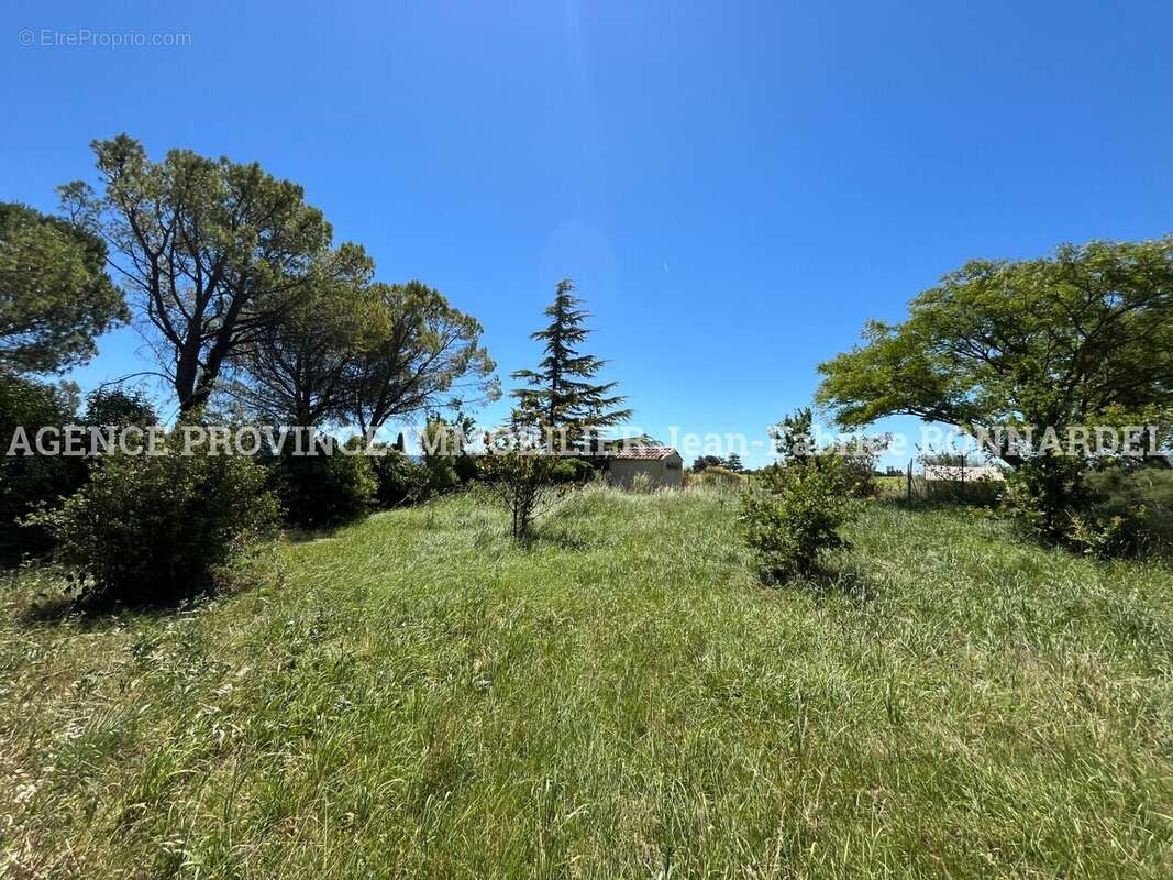 Terrain à SAINTE-CECILE-LES-VIGNES