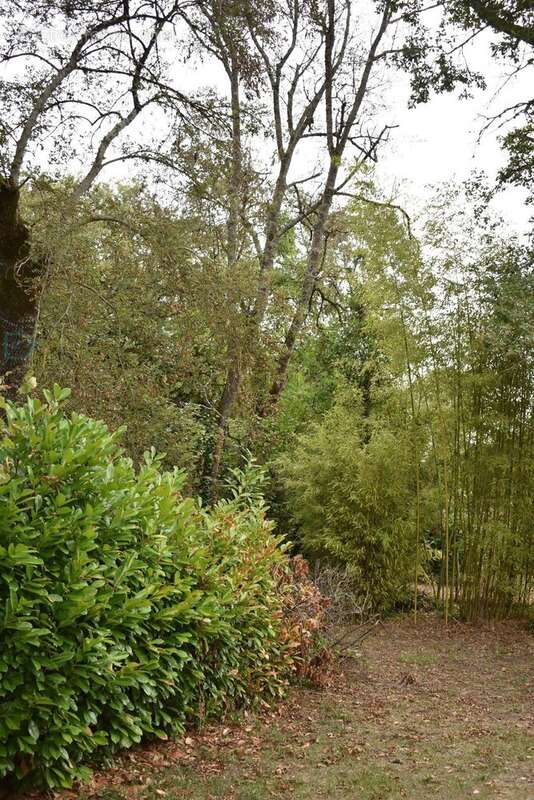 Maison à MOULIN-NEUF