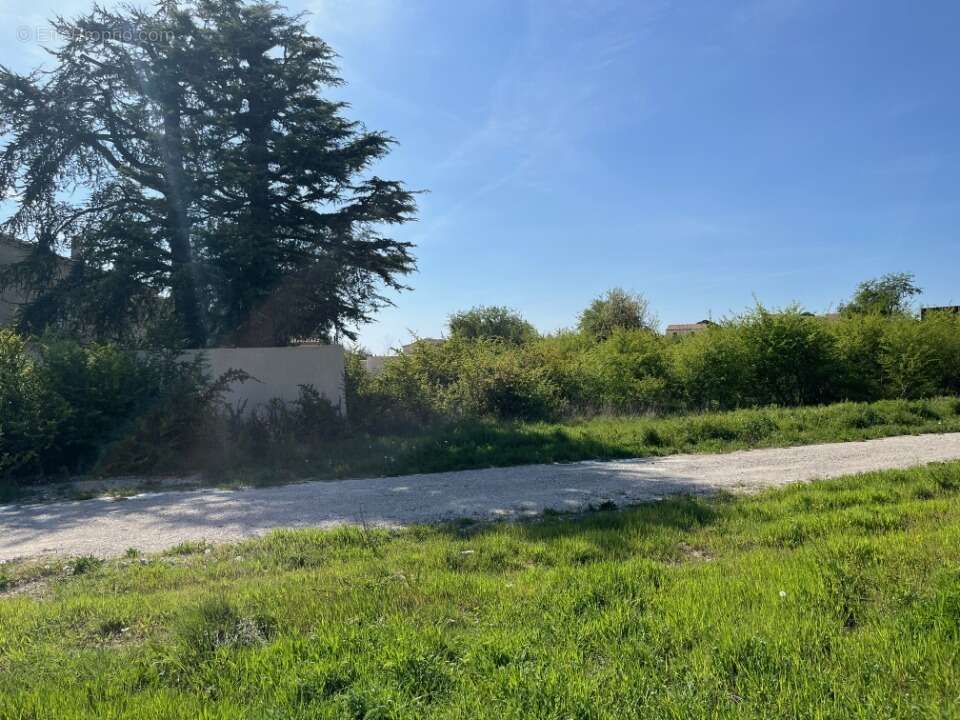 Terrain à VAISON-LA-ROMAINE