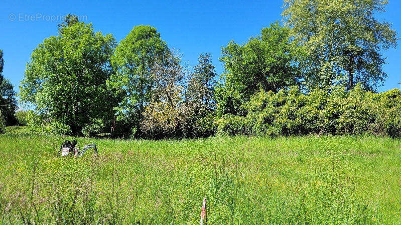 2.jpg - Terrain à OLORON-SAINTE-MARIE