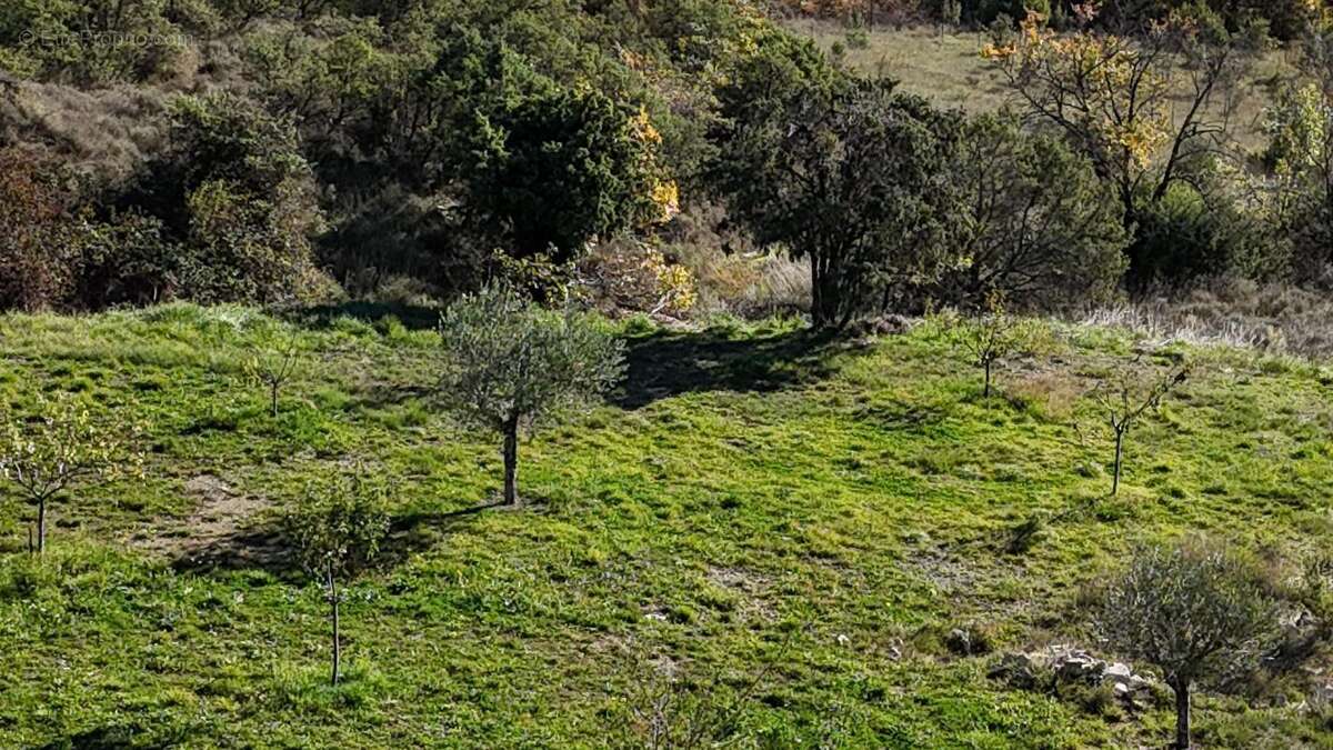 Maison à ALBA-LA-ROMAINE