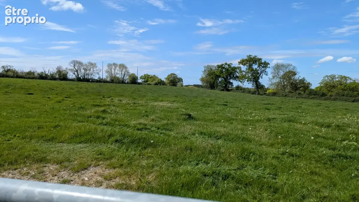 Parcelle agricole - photo 2