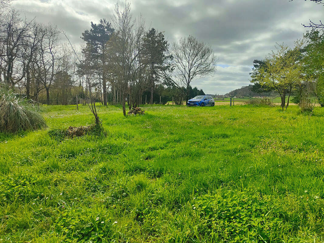 Terrain à SAINT-REMY-SUR-CREUSE