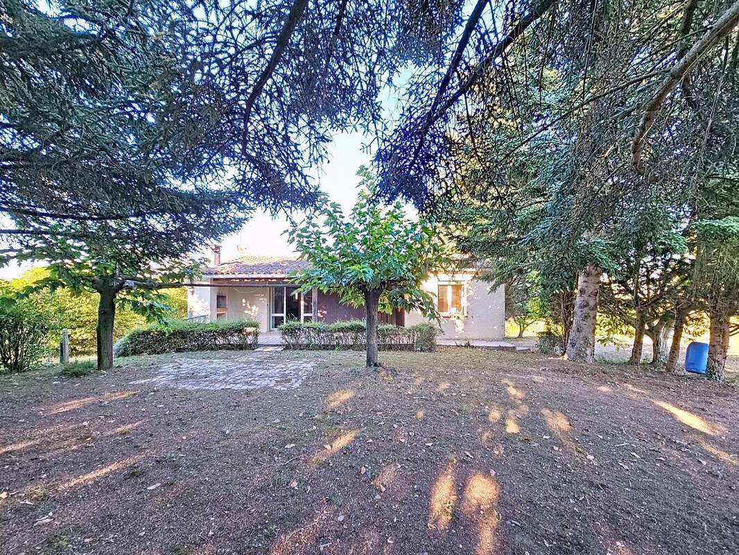 Photo 1 - Maison à ALZONNE