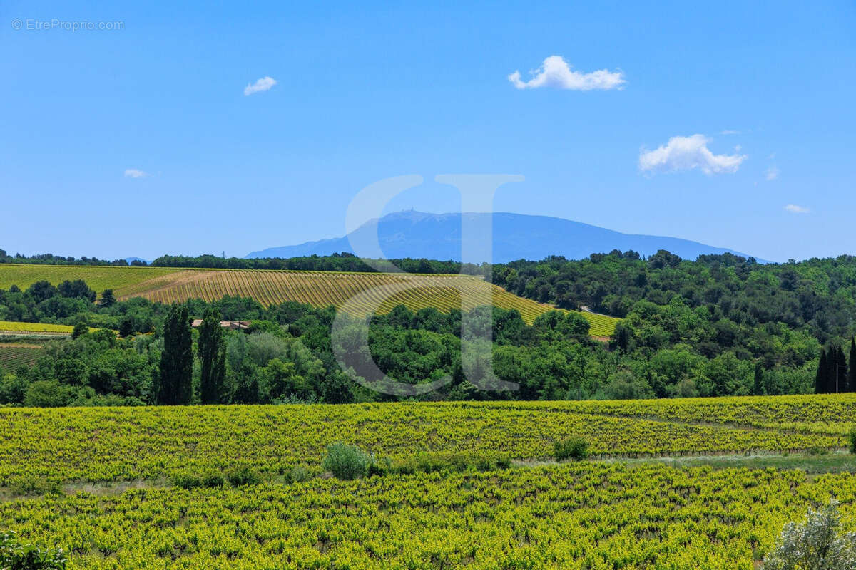 Maison à VAISON-LA-ROMAINE