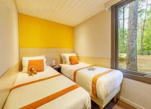 Maison à CHAUMONT-SUR-THARONNE