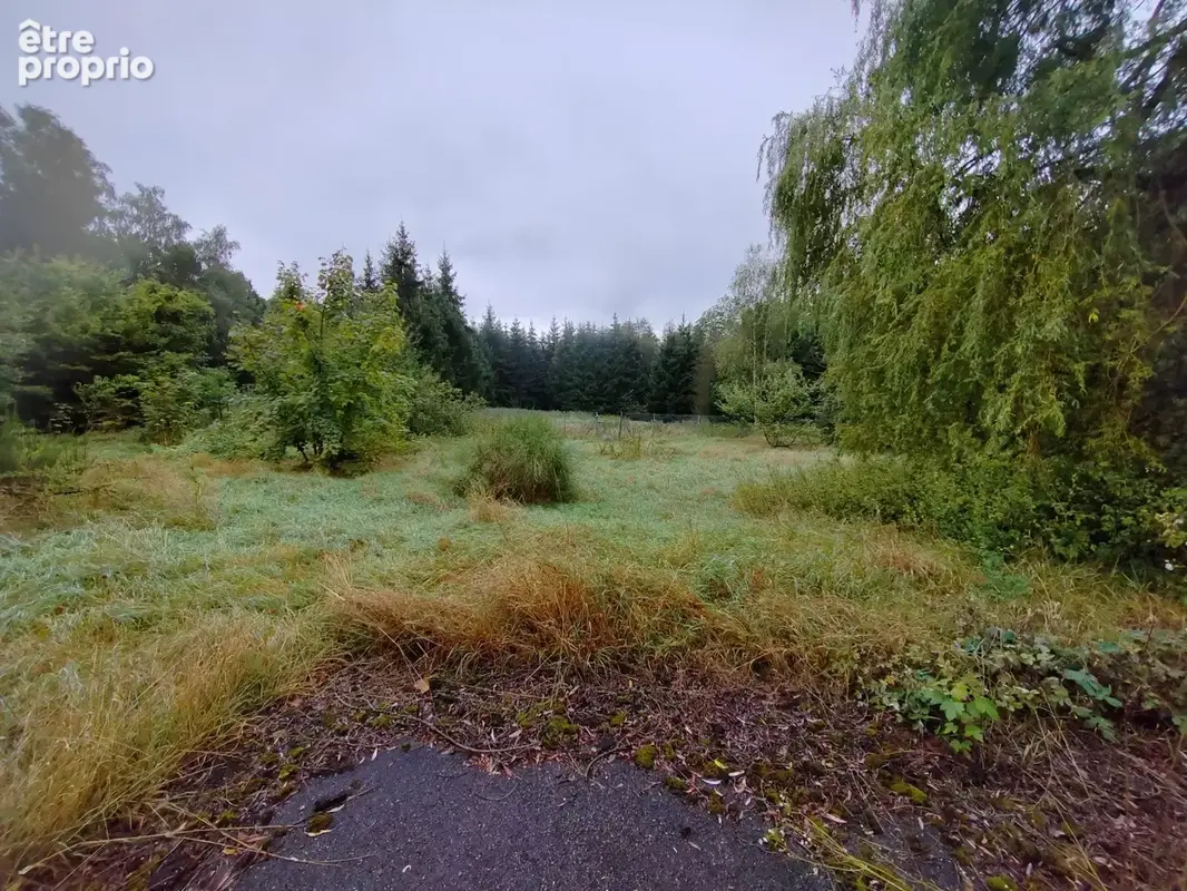 Maison forestière 8 p. 138 m2 non viabilisée avec dépendances - photo 8