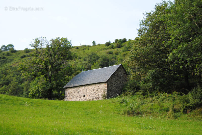 Maison à SAINT-PROJET-DE-SALERS