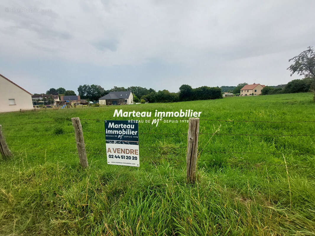 Terrain Vibraye 3000 m2 - photo 3
