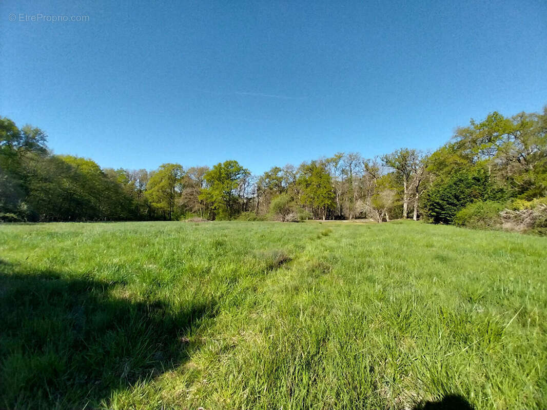Maison à COUR-CHEVERNY