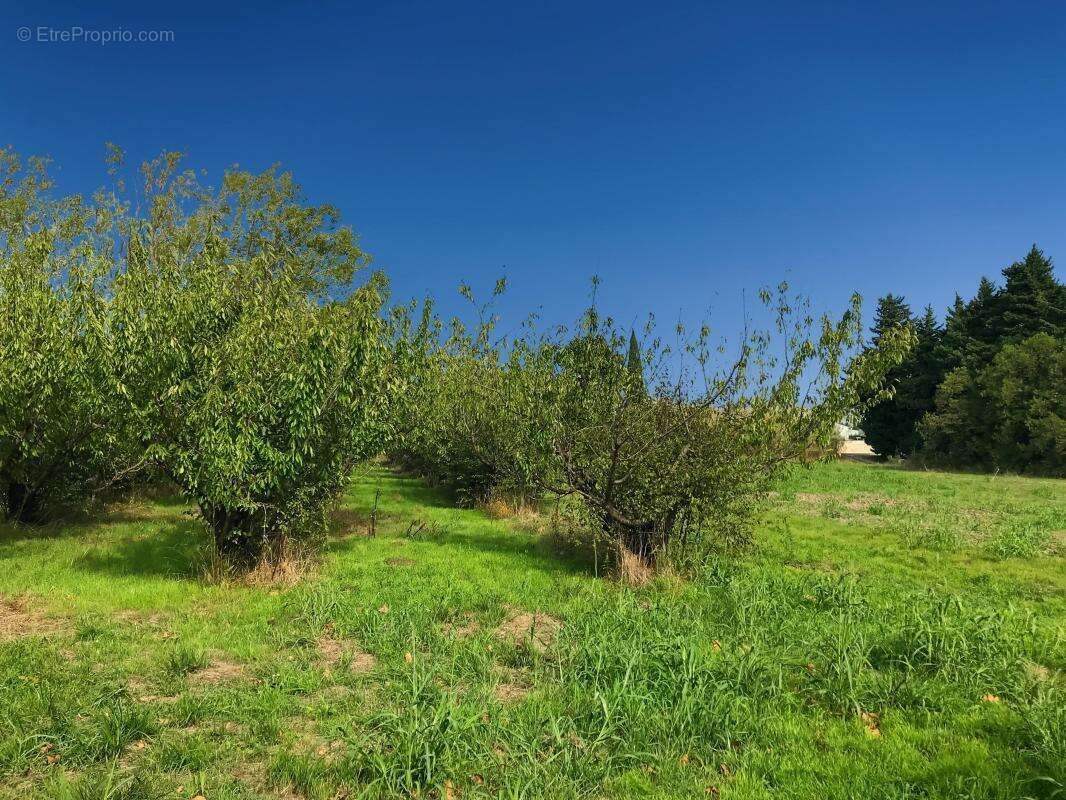 Maison à PLAN-D&#039;ORGON