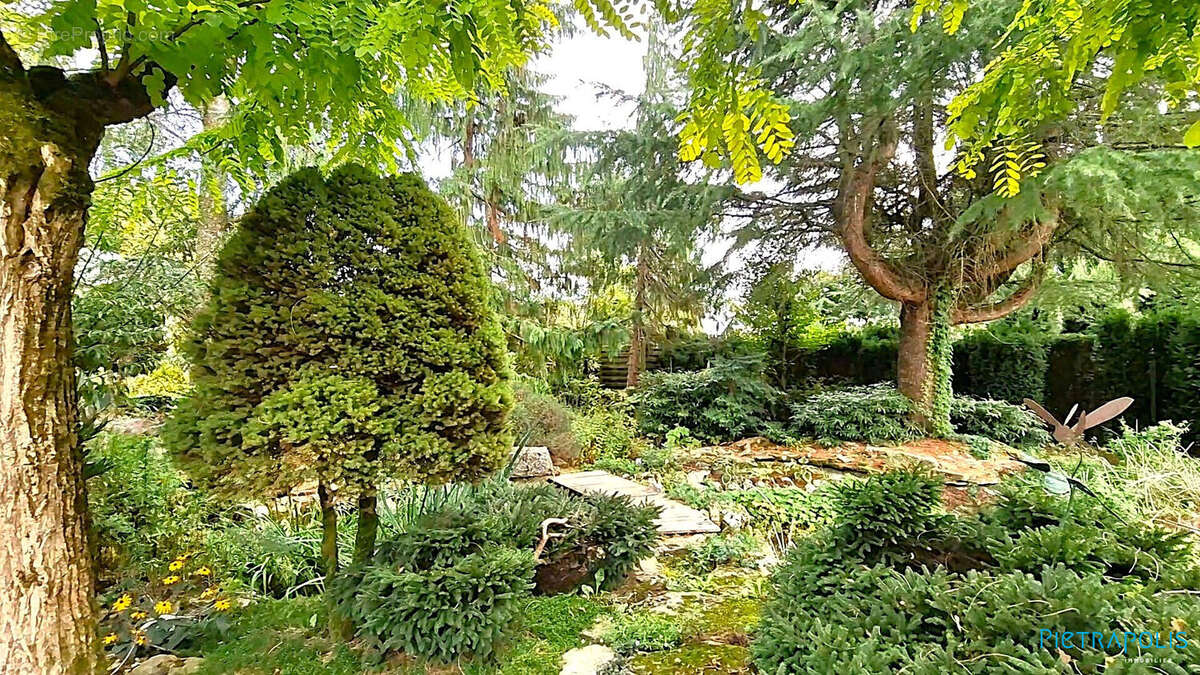 Maison à CHALON-SUR-SAONE