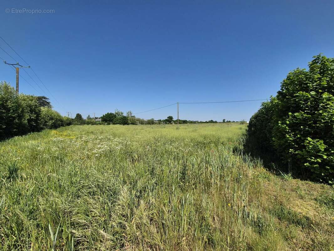 Propriété en Loire Atlantique - photo 17