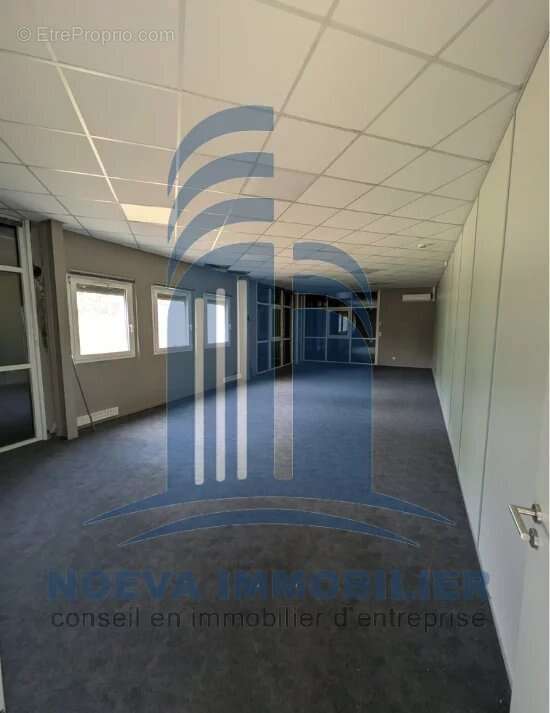 Bureaux indépendants de plain-pied - Environ 633 m² sur un terrain d'environ 4 500 m²  à Gondreville (54840) - photo 3