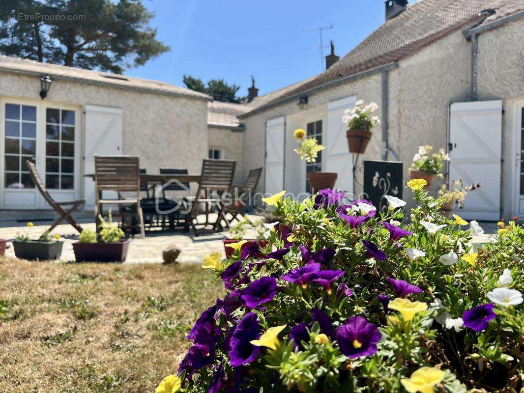 Maison 234 m² à Egreville  - photo 3