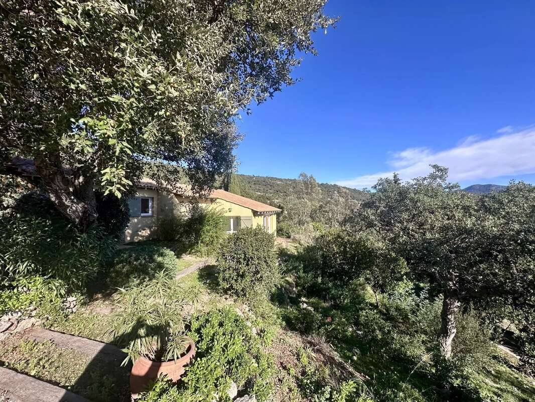 Maison à PLAN-DE-LA-TOUR