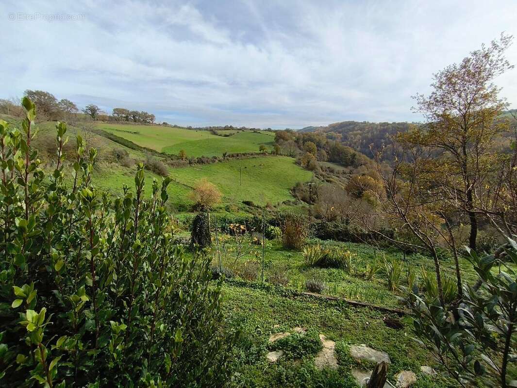 Photo 9 - Maison à FLAGNAC