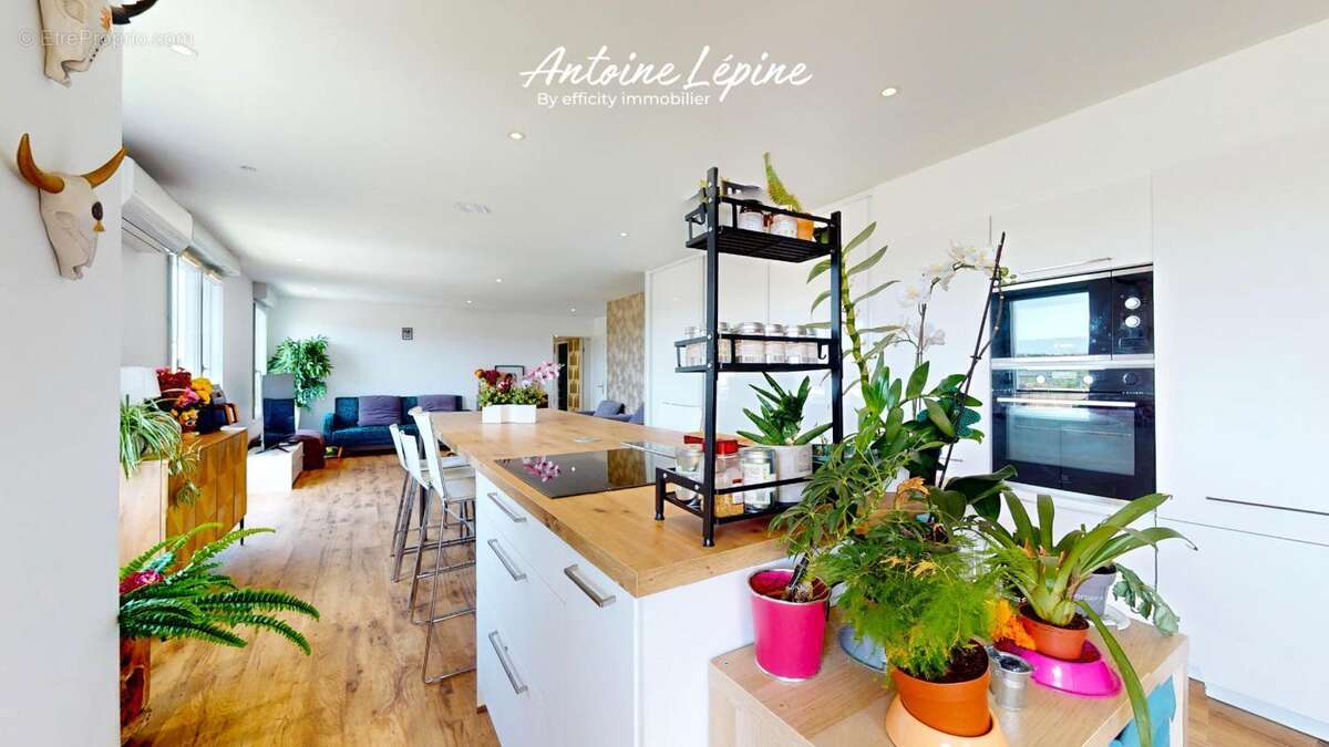 Appartement à VILLEURBANNE