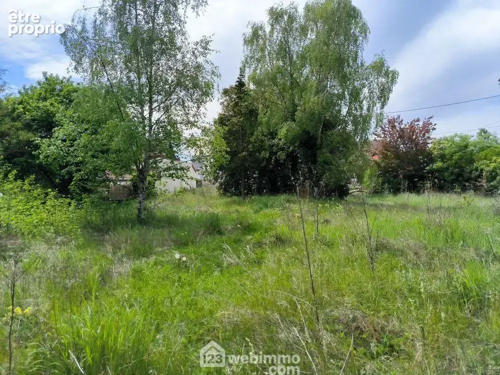 Le terrain est plat et libre de constructeur