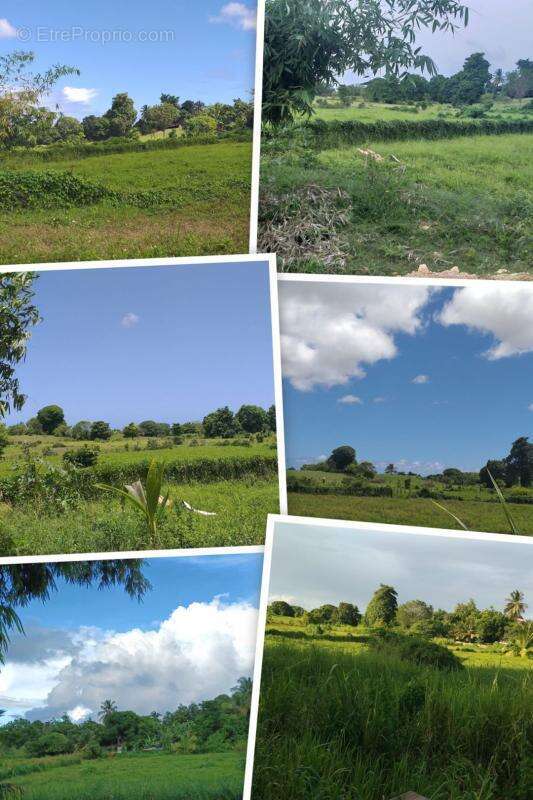 Maison à SAINTE-ANNE