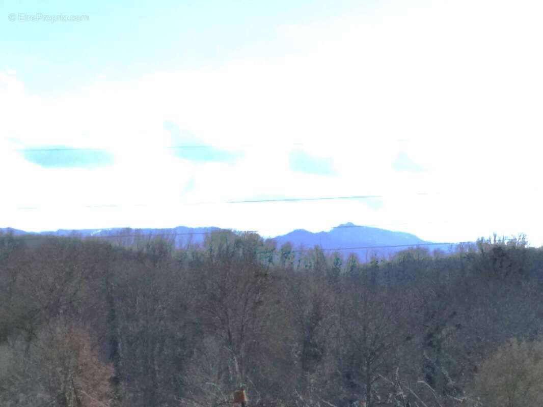 Terrain à BEAUCHALOT