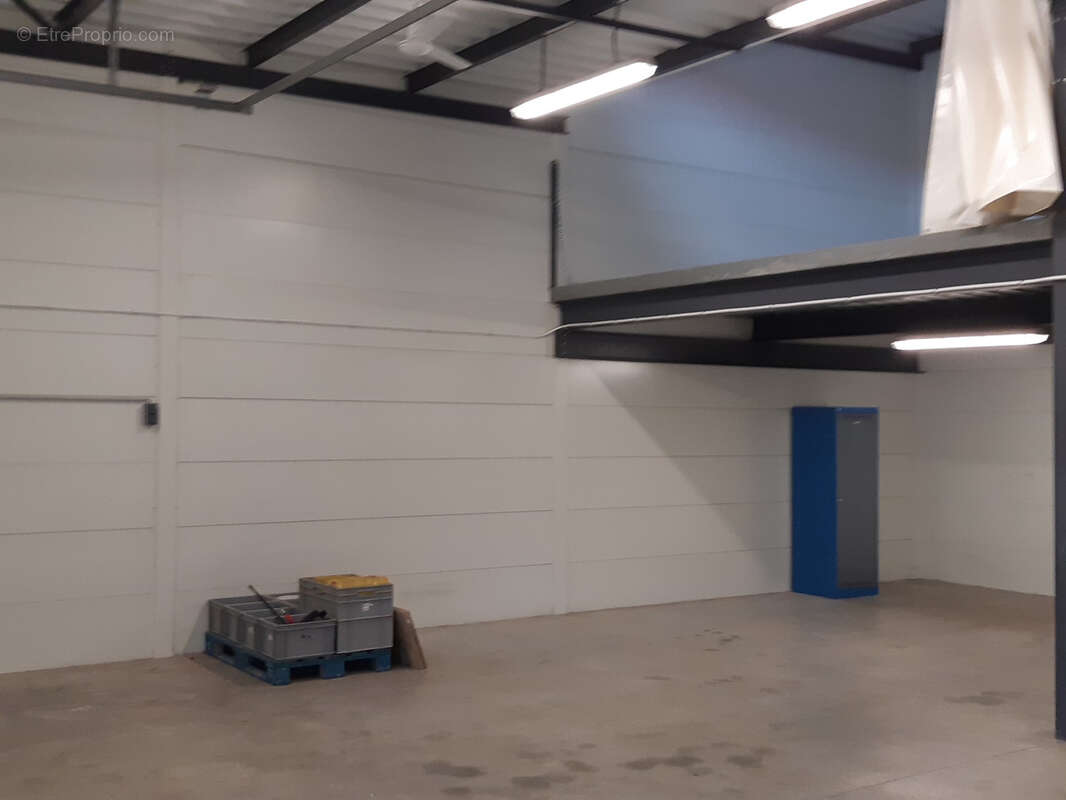 Commerce à SAINT-FELIX