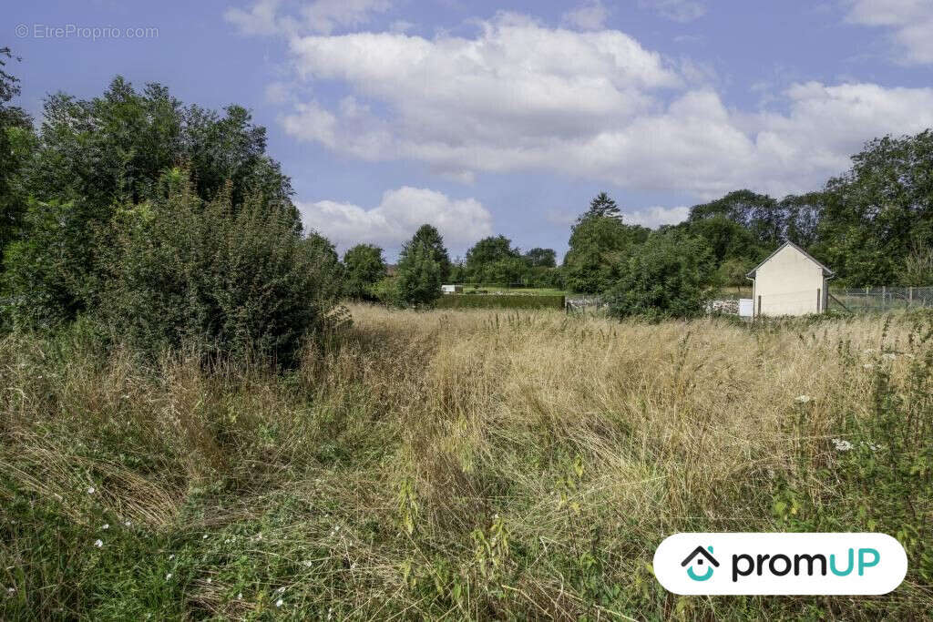 Terrain à THIEUX