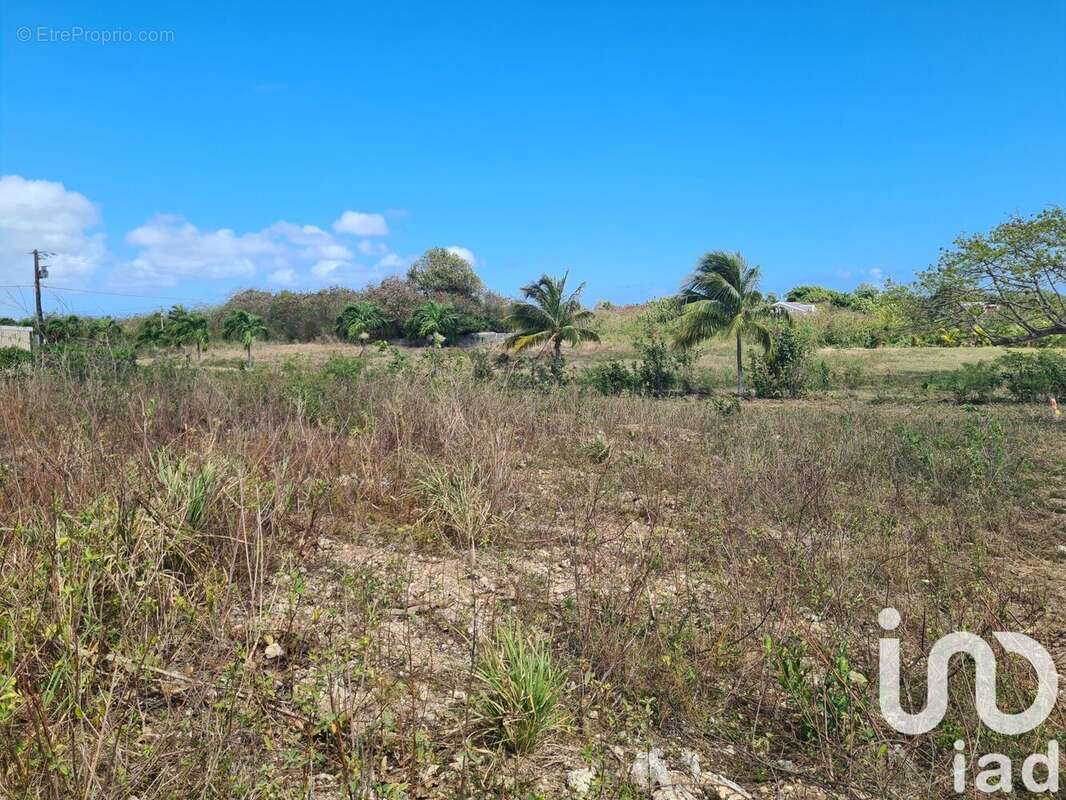 Photo 2 - Terrain à PETIT-CANAL