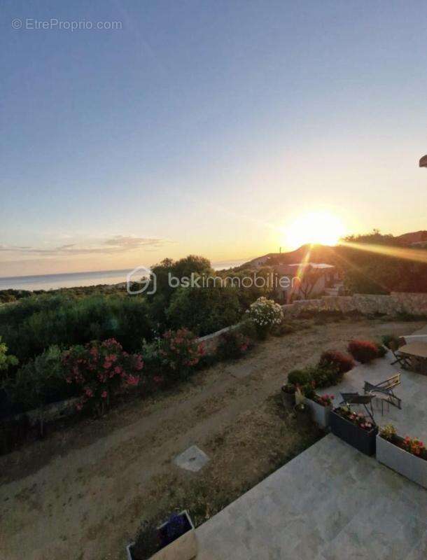 Villa avec vue mer et Cap Corse, piscine, appartement indépendant – Monticello - photo 10