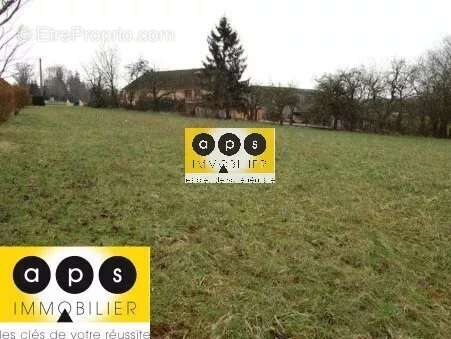 Terrain à POLIGNY