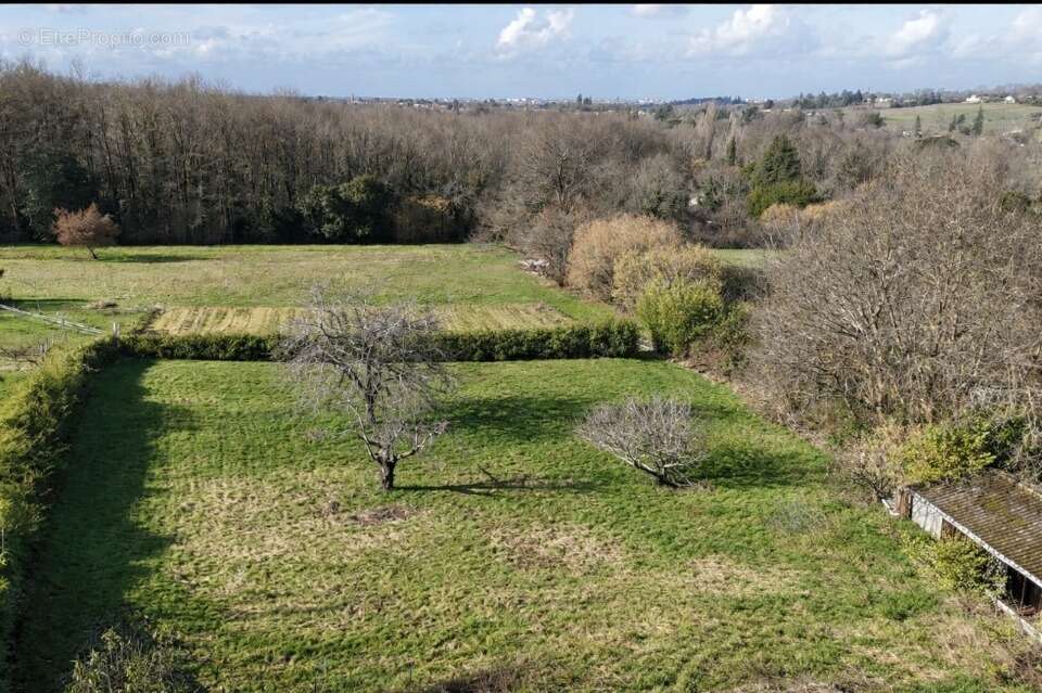 Terrain 1950 m² à Camblanes-Et-Meynac  - photo 2