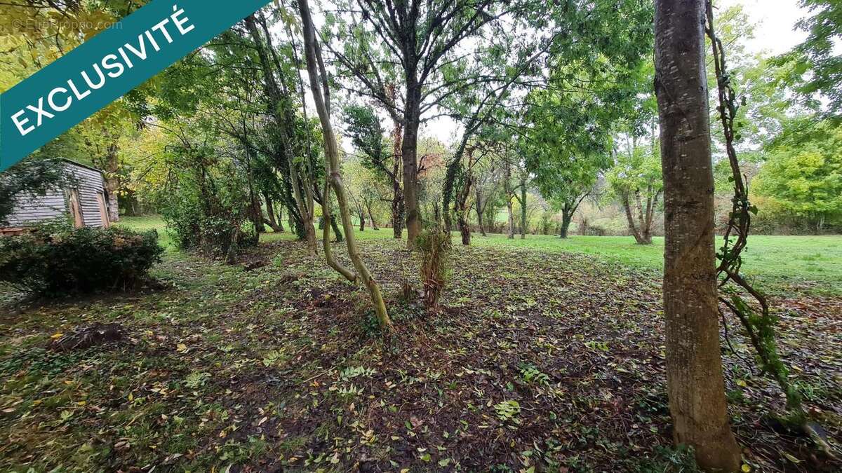 Photo 7 - Maison à FIRMI