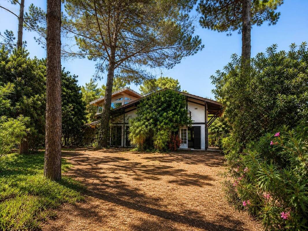 Maison à LEGE-CAP-FERRET