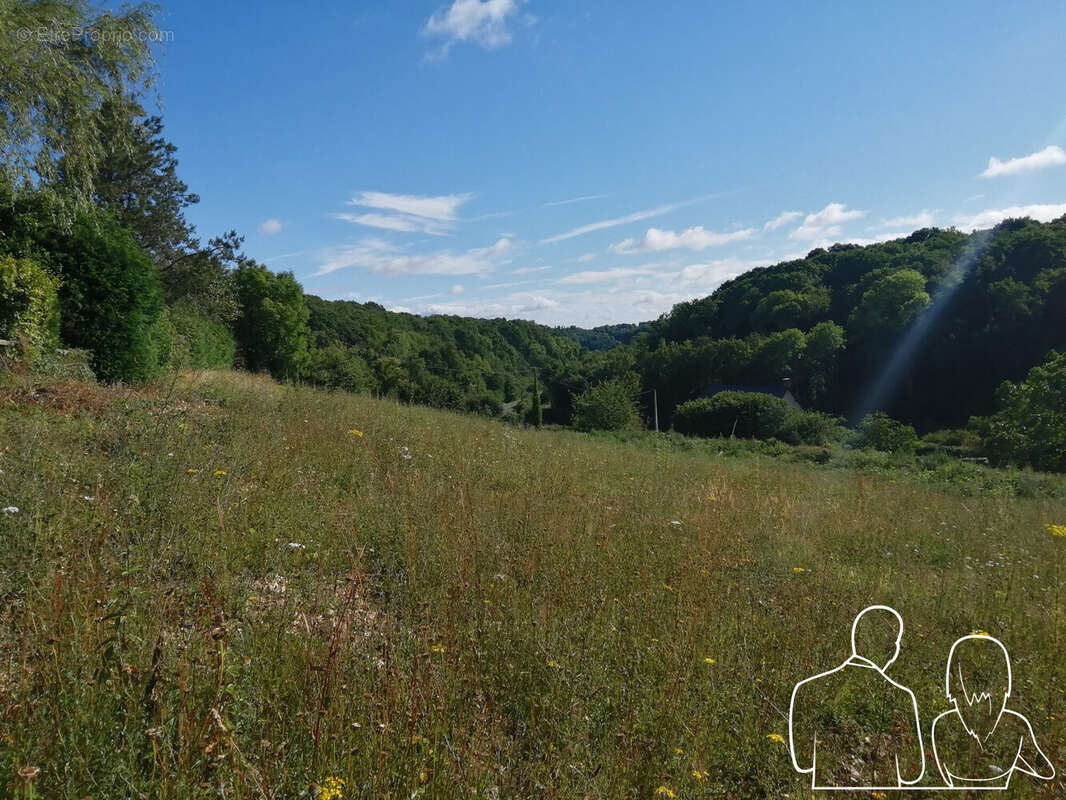 Terrain à SAINT-SYMPHORIEN