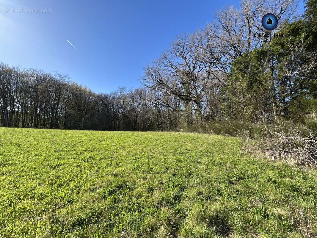 Terrain à SAINT-BONNET-L&#039;ENFANTIER