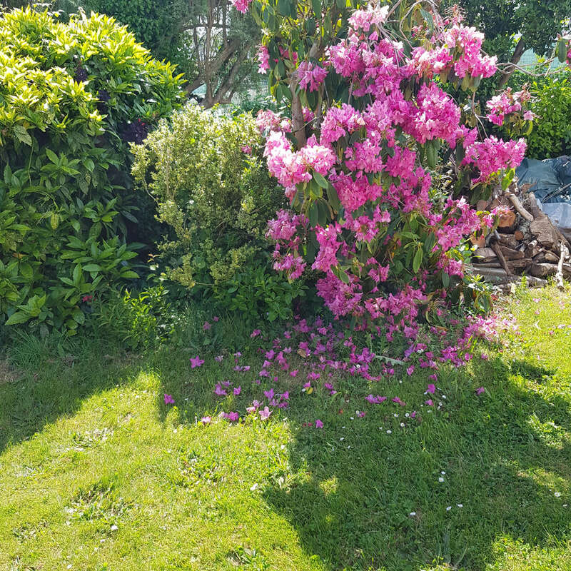 Maison à SAINT-EVARZEC