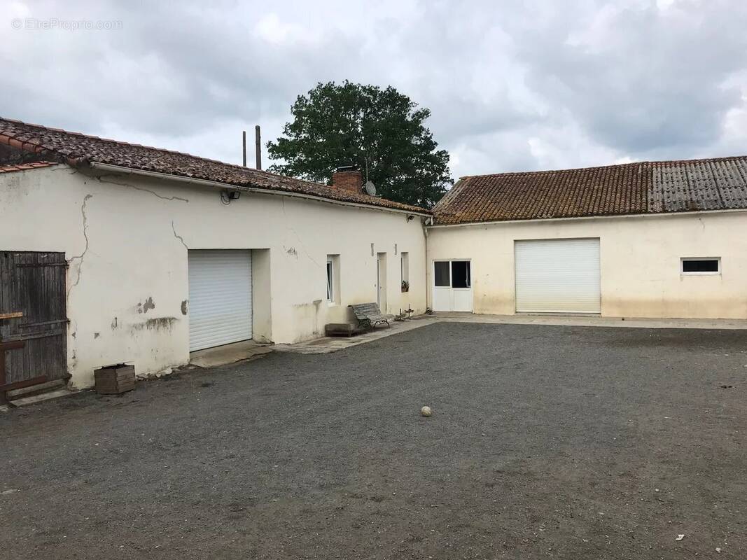 Commerce à LA PLAINE