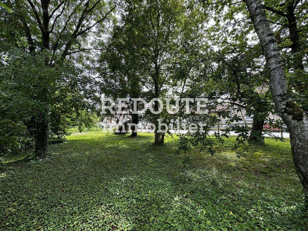 Terrain à BEINE-NAUROY