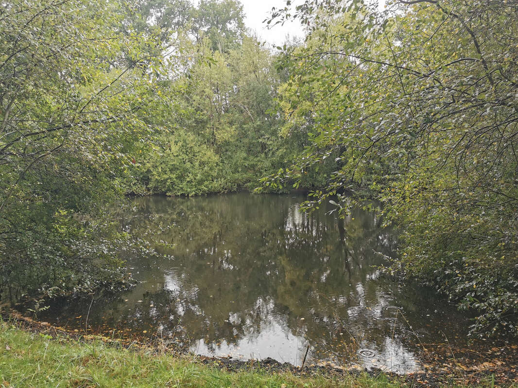 Maison à MENNETOU-SUR-CHER