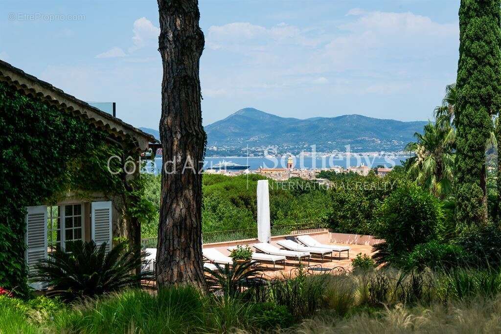 Maison à SAINT-TROPEZ