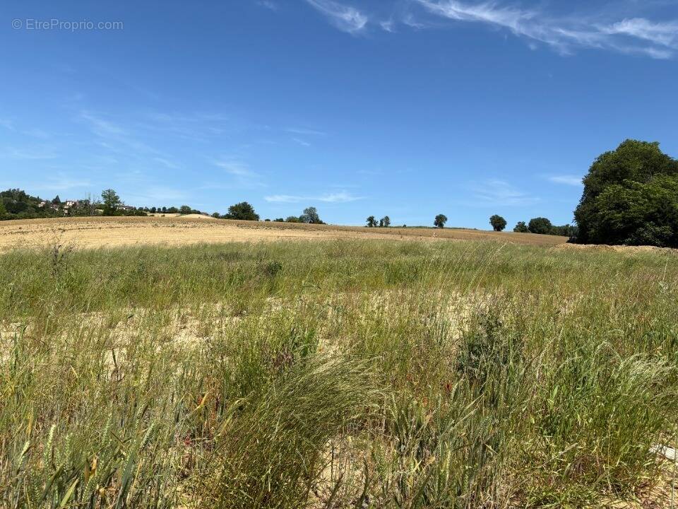 Terrain à VERFEIL
