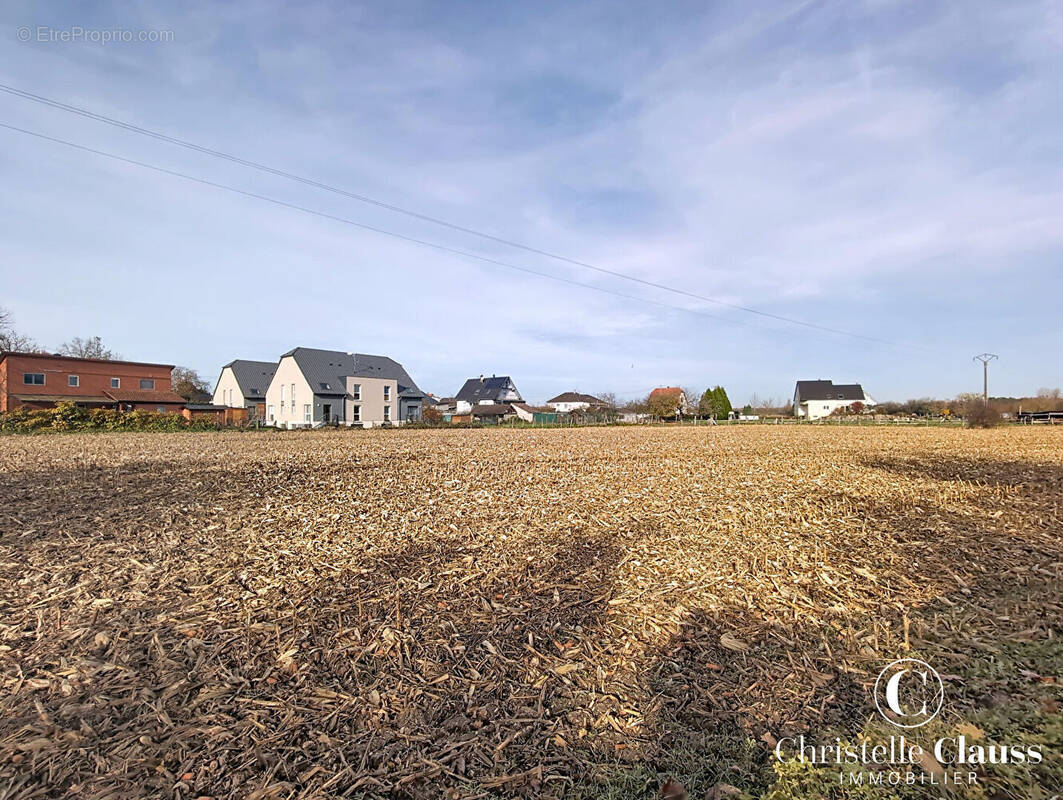 Terrain à DRUSENHEIM